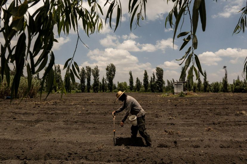 México avanza hacia una agricultura sostenible y moderna